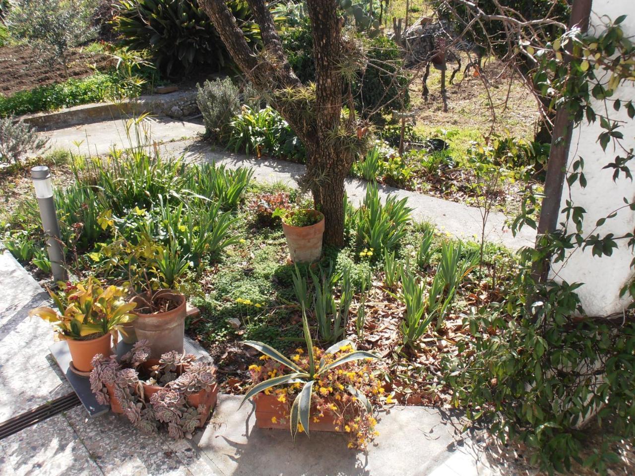 אימפריה Casa Fortuna מראה חיצוני תמונה