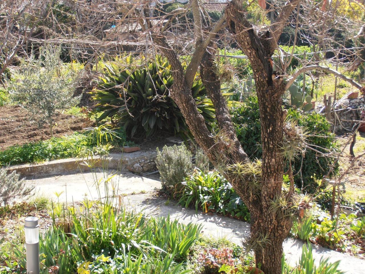 אימפריה Casa Fortuna מראה חיצוני תמונה