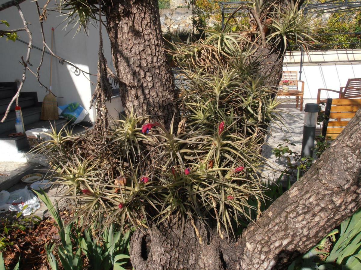 אימפריה Casa Fortuna מראה חיצוני תמונה